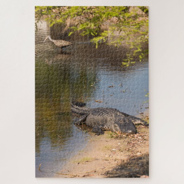 Puzzle Pájaro lagarto en los pantanos de Florida (Vertical)