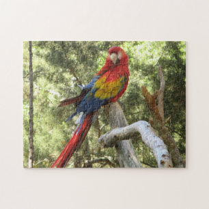 Puzzle Pájaro loro tropical colorido