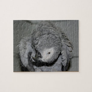 Puzzle Pájaro negro de loro gris