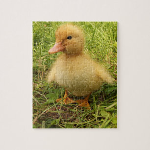 Puzzle pájaro, pato, patito, amarillo, naturaleza, lindo,