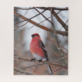 Puzzle Pájaro Rojo en Nieve de Invierno