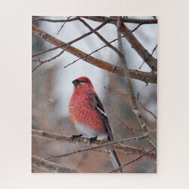 Puzzle Pájaro Rojo en Nieve de Invierno (Vertical)
