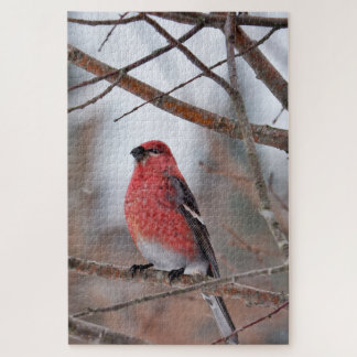 Puzzle Pájaro Rojo en Nieve de Invierno