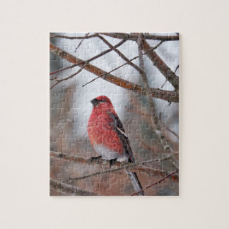 Puzzle Pájaro Rojo en Nieve de Invierno