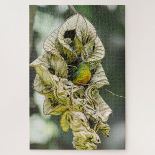 Puzzle Pájaro tímido, eufonía oliva