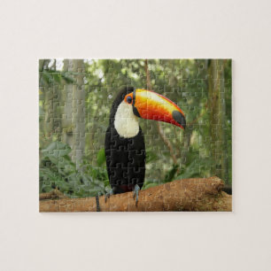 Puzzle Pájaro toscano en rama de árbol