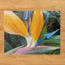 Pájaro tropical de Paraíso floral