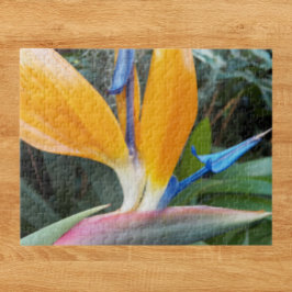 Puzzle Pájaro tropical de Paraíso floral