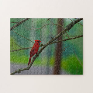 Puzzle Pájaros Cardenales.