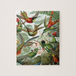 Puzzle pájaros flores flor pájaro naturaleza pintura vint