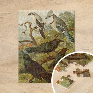 Puzzle Pájaros norteamericanos   Gustav Mützel