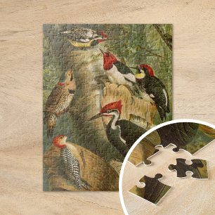 Puzzle Pájaros norteamericanos Gustav Mützel