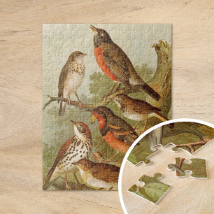 Puzzle Pájaros norteamericanos   Gustav Mützel