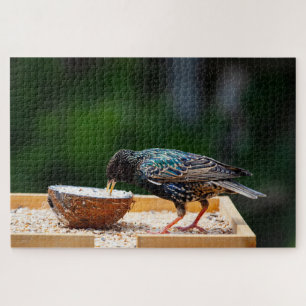 Puzzle Pájaros Oscuros Comer Coco