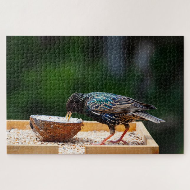 Puzzle Pájaros Oscuros Comer Coco (Horizontal)