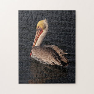 Puzzle Pájaros Pelícanos Marrones de Vida Silvestre
