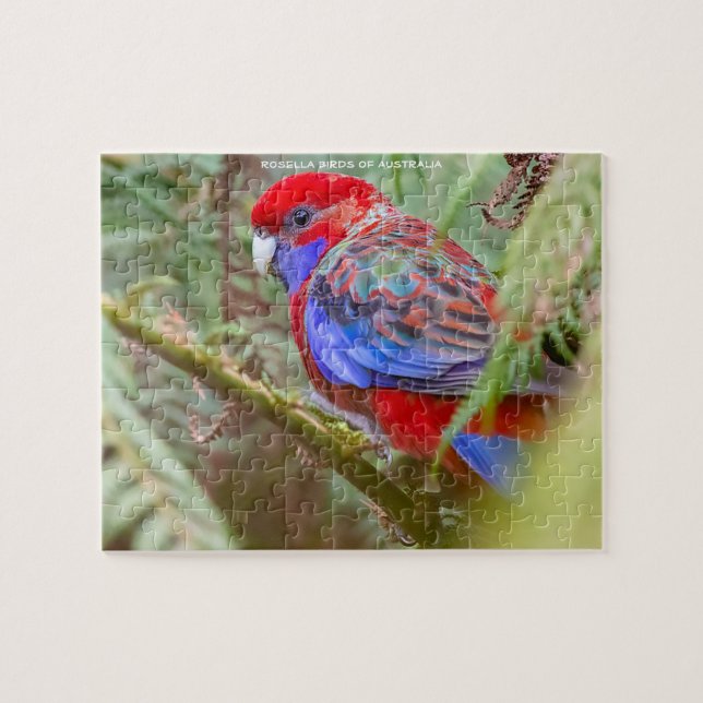 Puzzle Pájaros Rosella de Australia (Horizontal)