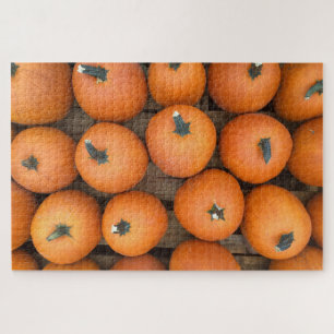 Puzzle ¡Paleta de calabazas!