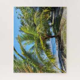 Puzzle Palm-Shaded Path Along Amatique Bay