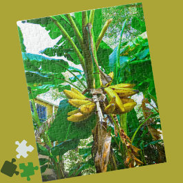 Puzzle Palm Tree Tropical Banana St Augustine Florida