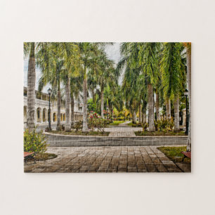 Puzzle Palm Trees Histórico Frederiksted Islas Vírgenes E
