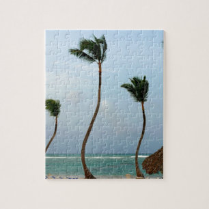 Puzzle Palma de Playa