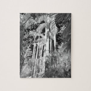 Puzzle Palmas Reales Nativas en Fakahatchee Strand,