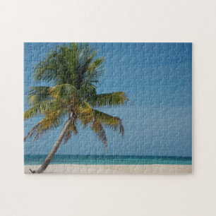 Puzzle Palmera y playa de arena blanca 2