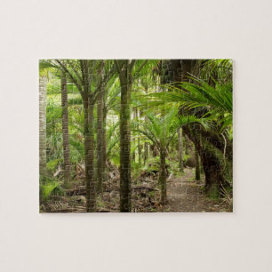 Puzzle Palmeras Nikau, Heaphy Track, cerca de Karamea,