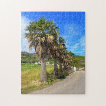 Palmeras Zakynthos Grecia