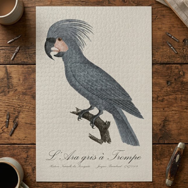 Puzzle Paloma cabecinegra, Probosciger aterrimus (Great Black Palm Cockatoo, Probosciger aterrimus. Jigsaw Puzzle)