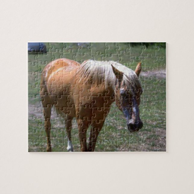 Puzzle Palomino Horse (Horizontal)