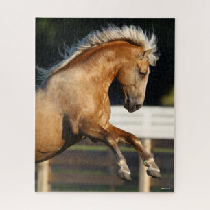 Puzzle Palomino Tennessee Walker Stallion Rearing