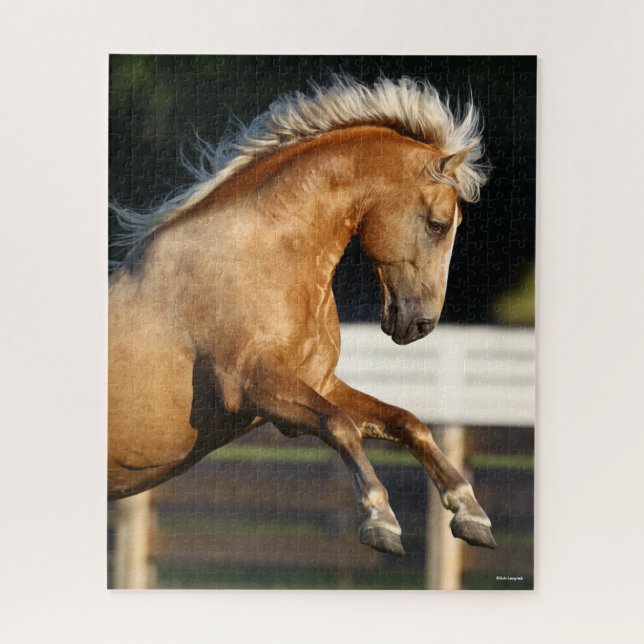 Puzzle Palomino Tennessee Walker Stallion Rearing (Vertical)
