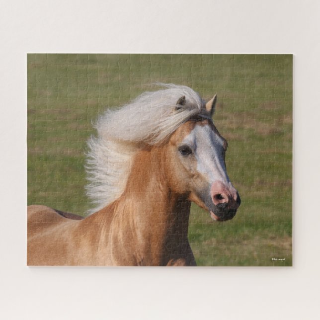 Puzzle Palomino Welsh Pony Cabeza De Mano Fluyendo (Horizontal)