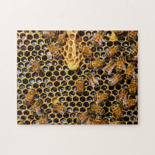 Puzzle Panal y abejas