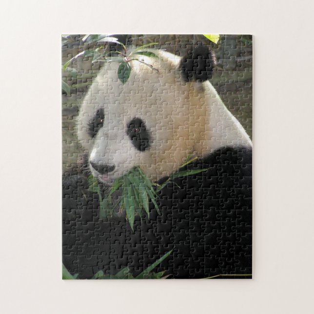 Puzzle Panda (Vertical)