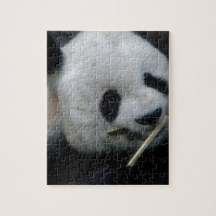 Puzzle Panda