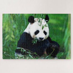 Puzzle Panda Eating Leaves