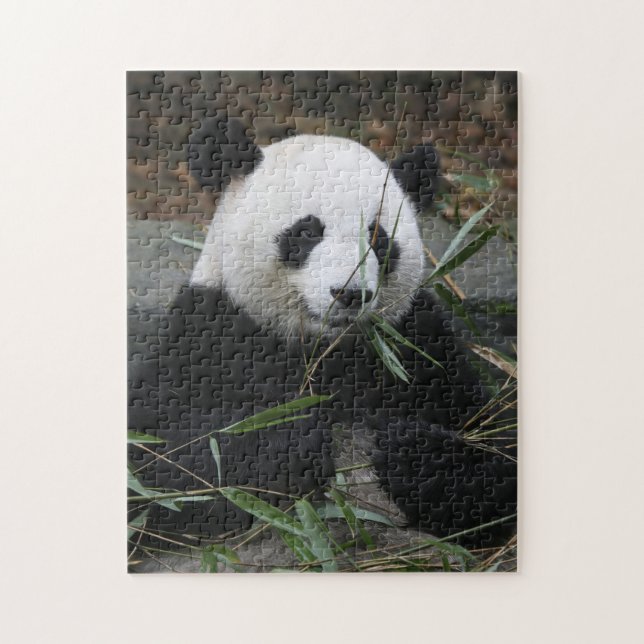 Puzzle Panda gigante (Vertical)