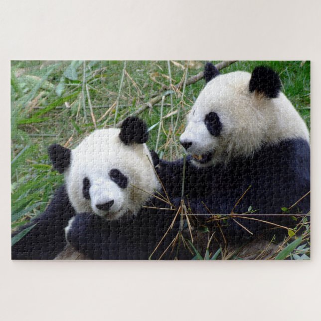 Puzzle Panda gigante - Osos de amor y bambú/China (Horizontal)