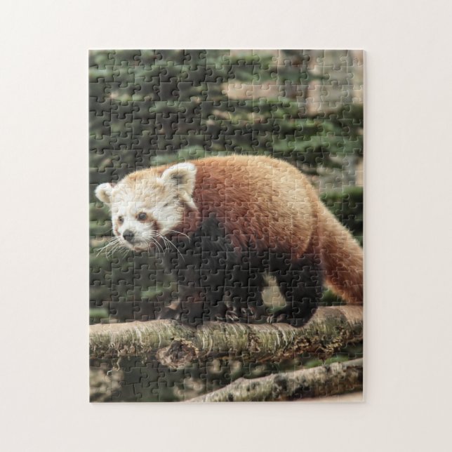 Puzzle Panda Jigsaw Rojo (Vertical)