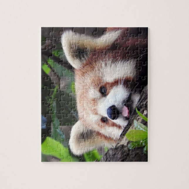 Puzzle Panda roja (Vertical)