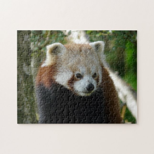 Puzzle panda roja (Horizontal)