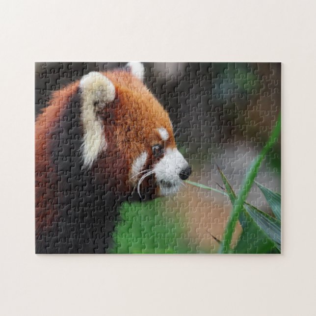 Puzzle Panda roja (Horizontal)