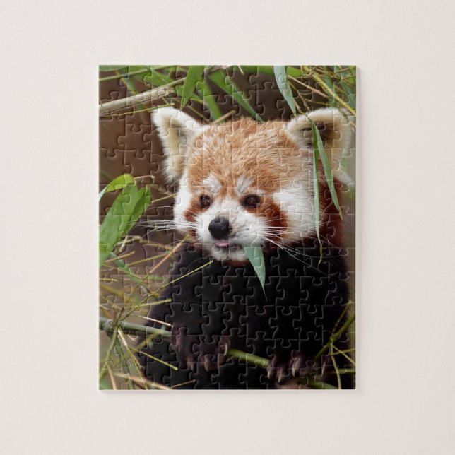 Puzzle Panda roja (Vertical)