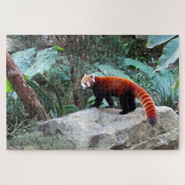 Puzzle panda rojo (Horizontal)