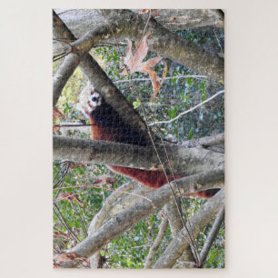 Puzzle Panda rojo