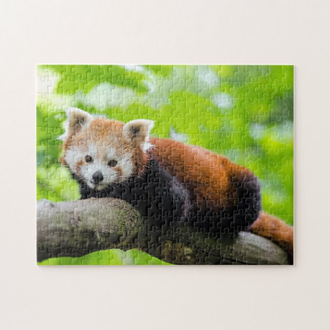 Puzzle Panda rojo (Horizontal)