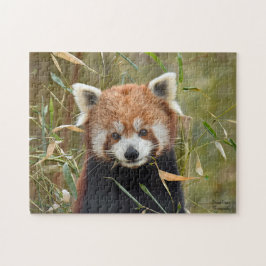 Puzzle Panda rojo